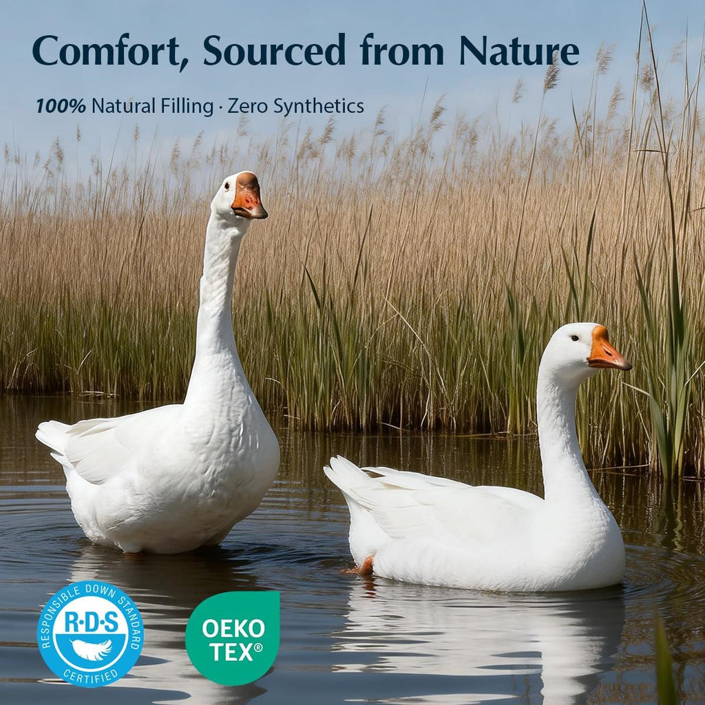 Premium Goose Down Fiber Comforter Queen, 420TC 100% Australian Cotton Shell, All-Season Comforter with Hidden Baffle