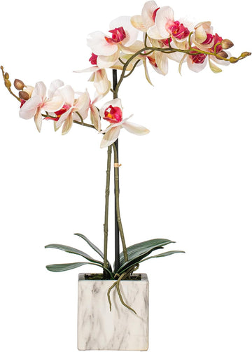 22" Indoor Artificial Pink and White Phalaenopsis Spray - Real Touch Petals - Decorative Ceramic Pot
