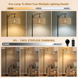 Arc Floor Lamp with Remote Control,Farmhouse Boho Floor Lamps with 3 Color Temperature
