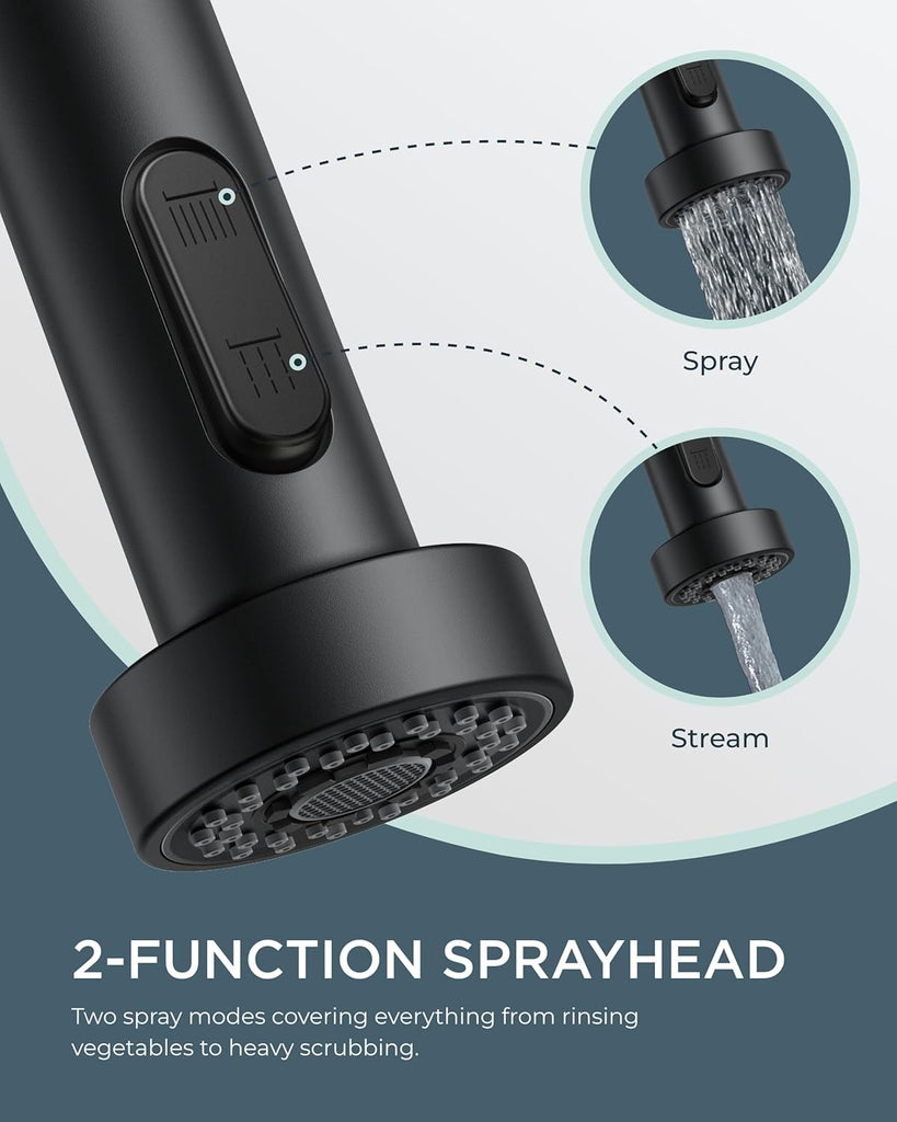 Black Kitchen Faucet with Pull Down Sprayer