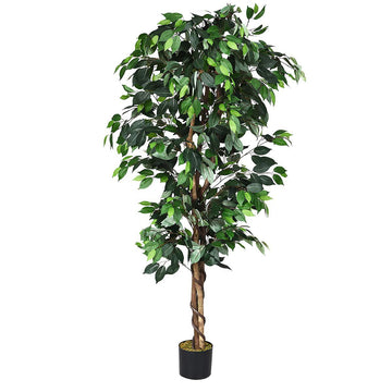 6 Ft Artificial Ficus Tree with Wood Trunks
