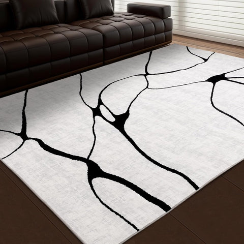 Abstract Black and White Area 6'x9'