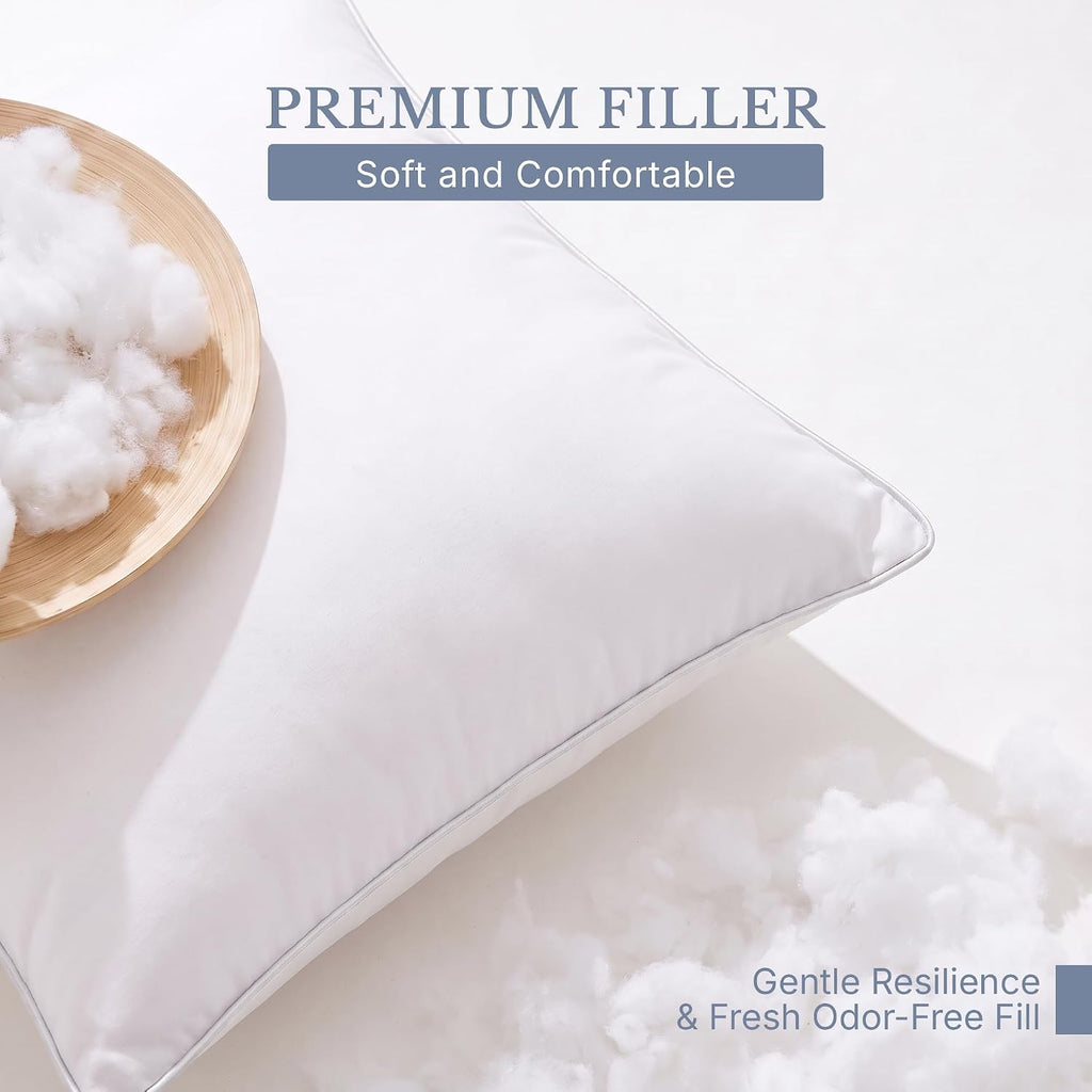 20x20 Pillow Inserts-20 Inch Square Decorative Pillow Insert, Soft Fluffy Throw Pillow Inserts for Sofa & - Set of 2