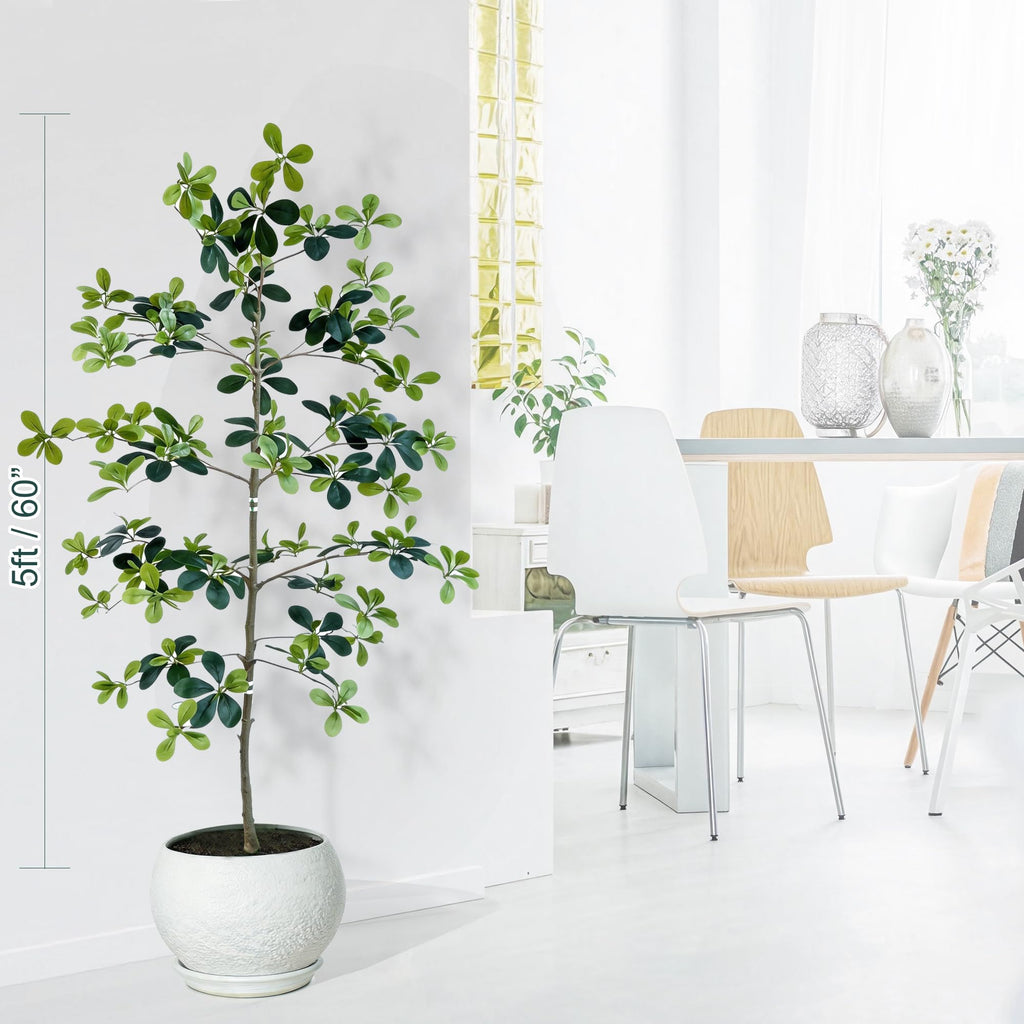 Faux Black Olive Tree 5ft, Artificial Shady Lady Tree with Natural Trunk & Realistic Leaves, Modern Decor