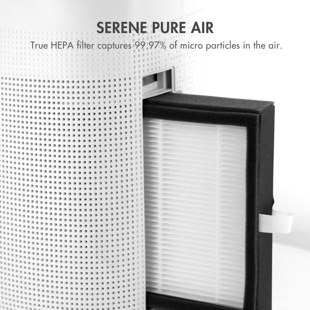 Sorbi 1000ml Air Dehumidifier w/Purifying Function, True HEPA Filter, Auto Shutoff, Touch Control Adjustable Air Speed