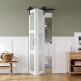 28in x 84in Bifold Barn Door, Frosted Glass Barn Door with Hardware Kit Included, Pre-Drilled Holes 