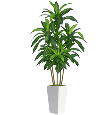 7FT Artificial Dracaena Tree with Tall White Planter, Floor Plant