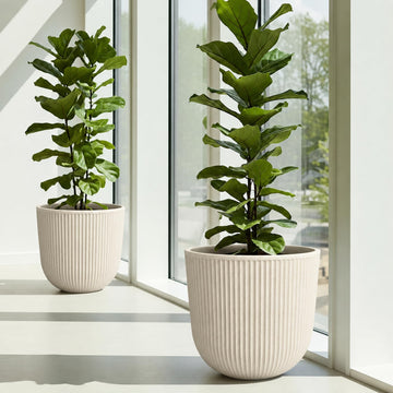Large Outdoor Planters, Beige Plastic Round Big Plant Pots Set of 2