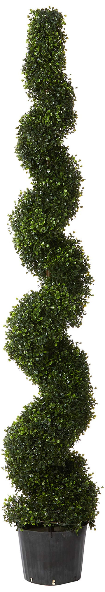 6-Feet Pond Boxwood Spiral Topiary Plant, Green
