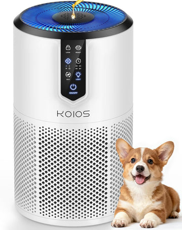 Air Purifiers for Bedroom, H13 HEPA Air Purifiers for Home Pets, 15dB Quiet Air Cleaner for Office, 