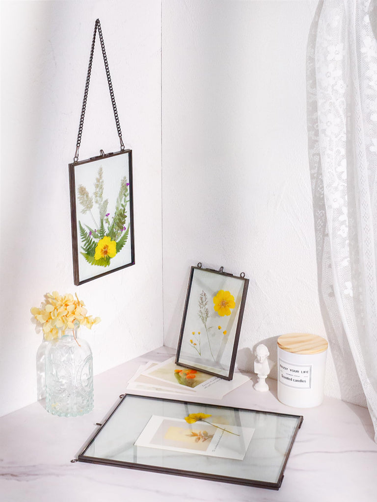 Hanging Pressed Flower Frames, Double Glass, Black, 8x10 Inches