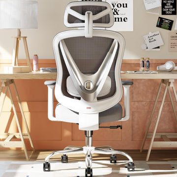 Ergonomic Mesh - 3D Adjustable Lumbar Support & 3D Armrests, V-Shaped Back, Adjustable Desk Chair for Office & Home