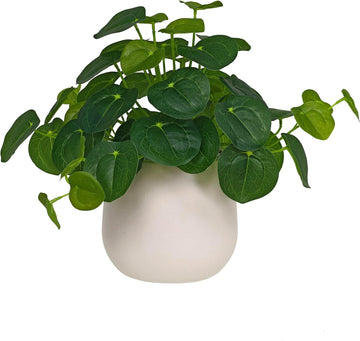 Artificial Pilea Plant - Luxury Potted Money Plant in White Textured Pot with Real Pebbles, Premium Soft Plastic