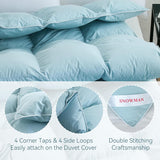 Premium Down Comforter Queen, Luxurious All Season Duvet Insert with Cotton Blended Fabric