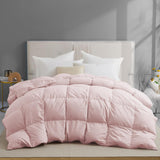 Goose Feather Down Fiber Comforter Queen, All Season Duvet Insert with Soft Downproof Cover