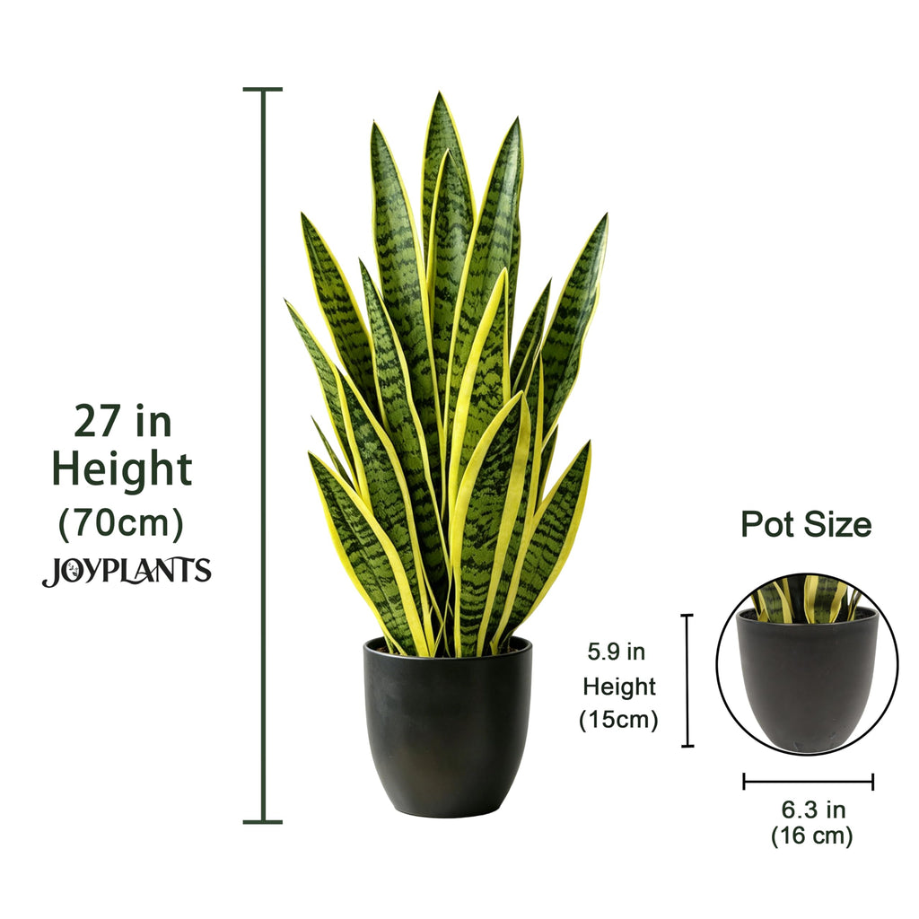 2FT Artificial Gold Snake Plant, 27'' Fake Sansevieria Realistic