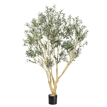 Large Faux Olive Tree 7 Feet with UV Resistant in Black Planter