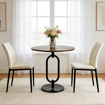 Dining Chairs Set of 2, Velvet Comfortable Seats, Mid-Century Modern Living Room Chairs