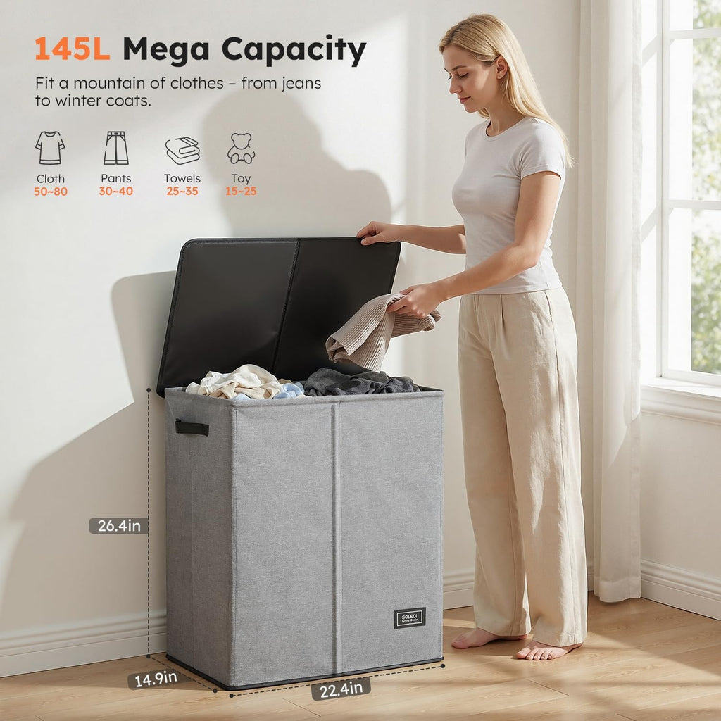 Double Laundry Basket with Lid and Removable bag, Large Laundry Hamper 2 Section with handles, Collapsible Dirty