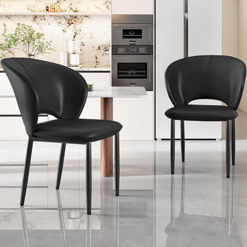 Dining Chairs Set of 2, Kitchen Chairs, Modern Upholstered Dining Room Chairs for Living Room, Dining Room
