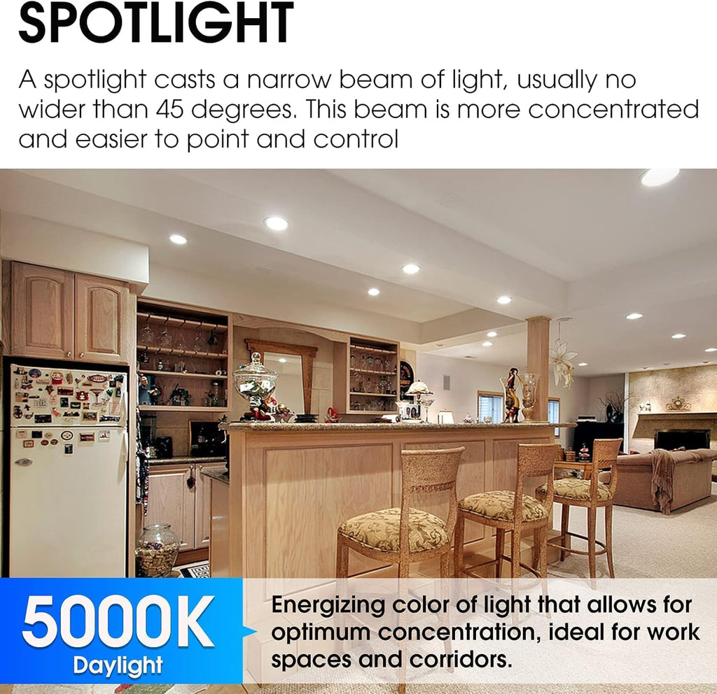 Energetic LED PAR38 Outdoor Flood Light Bulb Home Residential Patio Driveway Light, PAR38 LED Bulb, 5000K Daylight