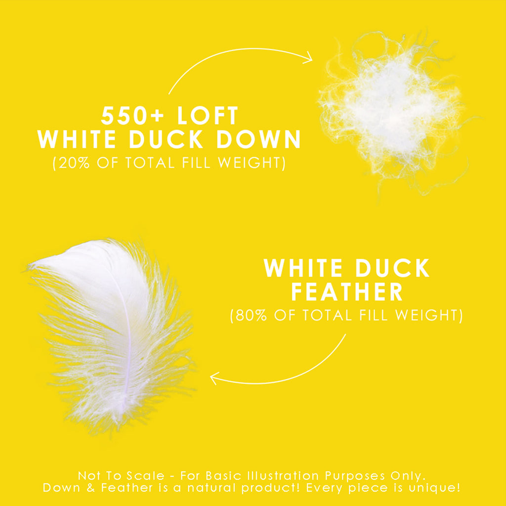 Down & Feather Co. - All Season Weight White Feather & Down Duvet XL Queen Size - 260 TC Shell 100% Cotton - Oeko TEX