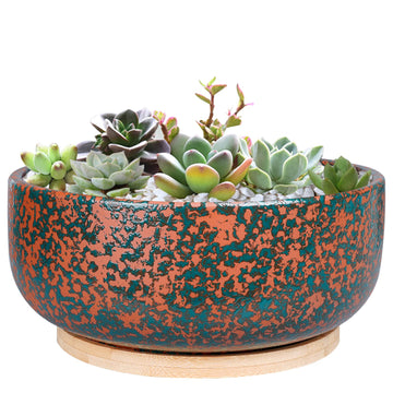 8 Inch Terracotta Succulent Planter Pot with Drainage Hole Round Shallow Bonsai Planter Pot with Bamboo Saucer Flower