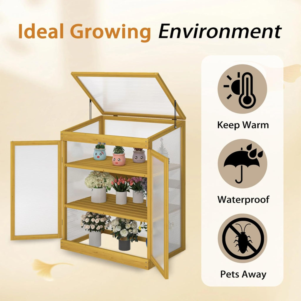 Wooden Cold Frame Greenhouse for Outdoor, Mini Polycarbonate Garden Greenhouse Cabinet with Adjustable Shelves