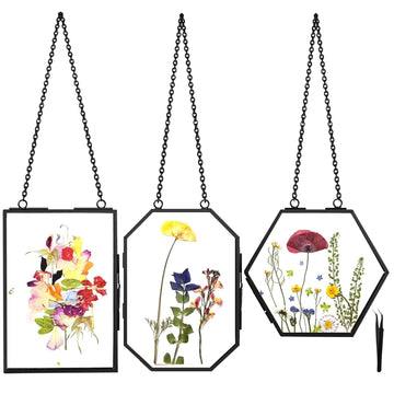 Hanging Pressed Flower Frames, 3Pcs Double Glass Floating Picture Frame Handmade, Glass Frame for Pressed Flowers