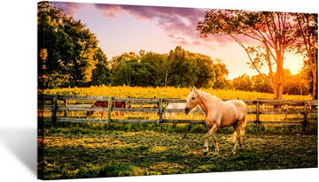 Large Size Horse of a Farm Canvas Prints Wall Art Picture Modern Sunset Landscape Wild Animal High Definition Print