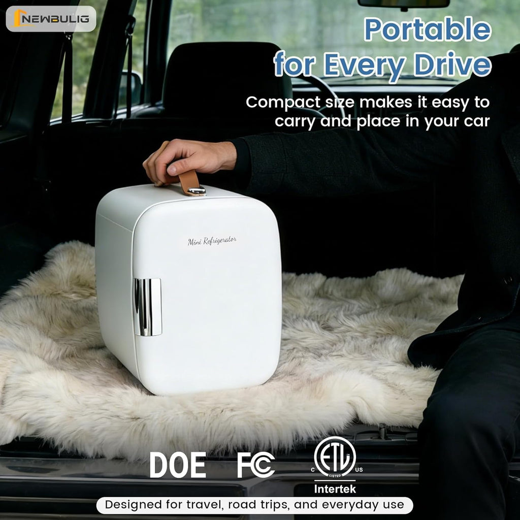 Mini Fridge for Bedroom, Office & Car, Portable 4L/4.23QT Mini Refrigerator for Skincare with Handle, Ultra-Quiet