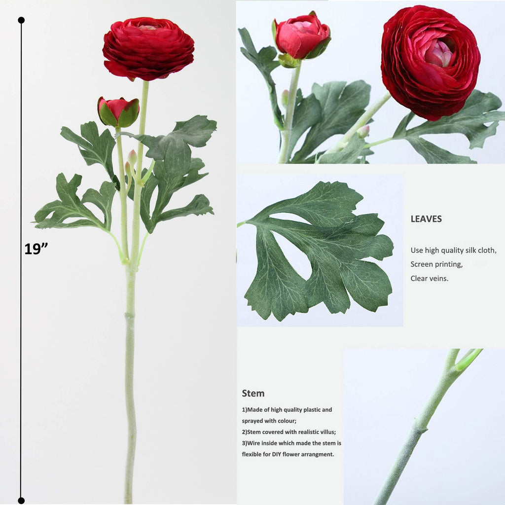 Ranunculus Flowers, Red, 6pcs