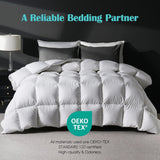 Goose Feather Down Fiber Comforter Full, 100% Cotton Ultra Soft Fluffy Duvet Insert Full