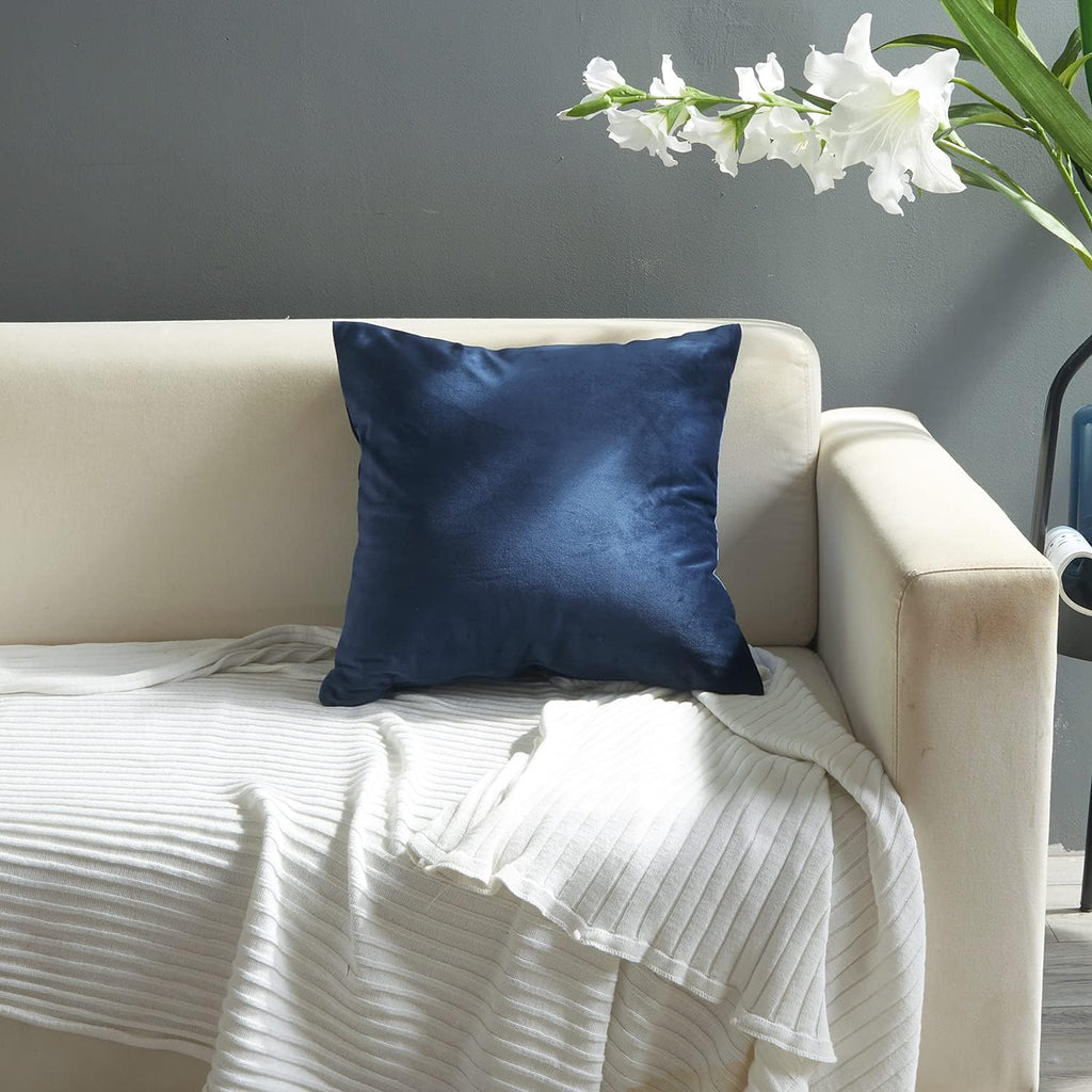 2 Pack Soft Velvet Couch Throw Pillow Covers 20x20 Inch