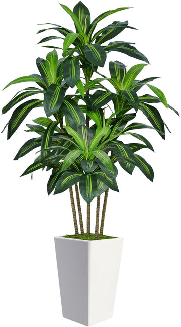 6FT Artificial Dracaena Tree, Fake Tree Indoor with White Tall Planter,Tall Artificial Plants Indoor,Artificial Silk