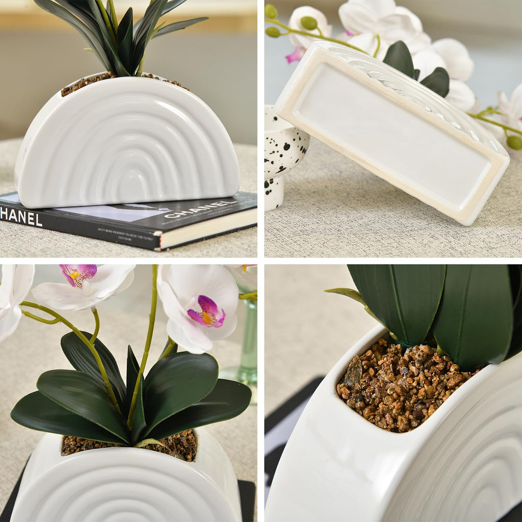 Fuchsia Silk Orchid Plant in White Rainbow Pot for Table Décor