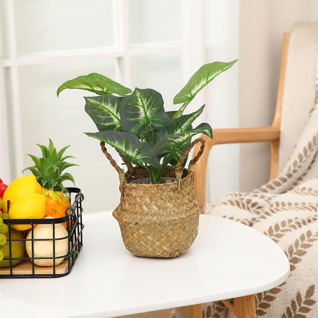4 Pcs Woven Seagrass Baskets Belly Basket Folding Boho Natural Plant Pot with Handles Round Decorative Wicker Large