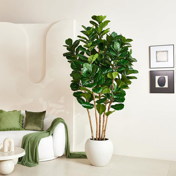 8ft Artificial Fiddle Leaf Fig Tree, 5 Real Wood Trunks