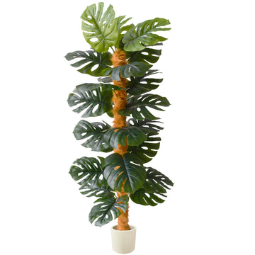 Artificial Monstera Plant 6ft Fake Plant with White Planter