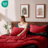Queen Comforter Set 7 Pieces, Reversible Queen Bed in a Bag with All Season Premium Comforter
