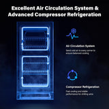 26 Bottle Wine Fridge, Dual Zone Wine & Beverage Refrigerator w/Independent Temp