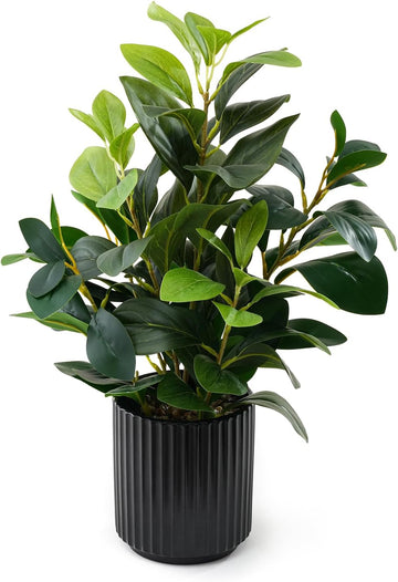 16 inch Artificial Plants Indoor Realistic Touching Evergreen Leaf Fake Plant with Creamic Black Pot Living Room
