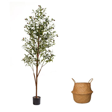 6FT Artificial Olive Tree Indoor, Tall Faux Olive Tree with Pot&Basket, Large Fake Olive Tree with Realistic 1080