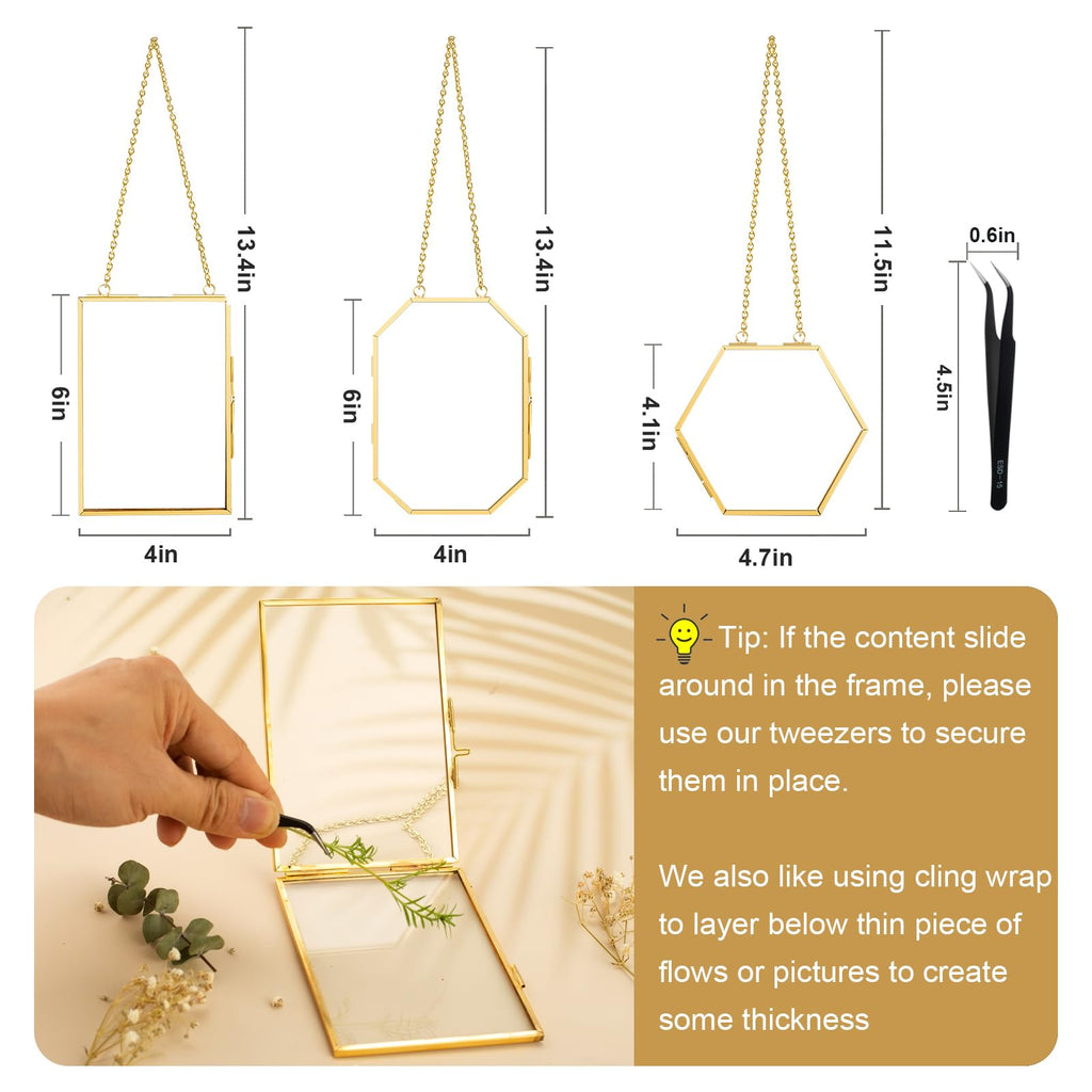 3 Pcs Pressed Flower Frames with Tweezers, Wall Hanging Double Glass Frames with Metal Chain for Pressed Dried
