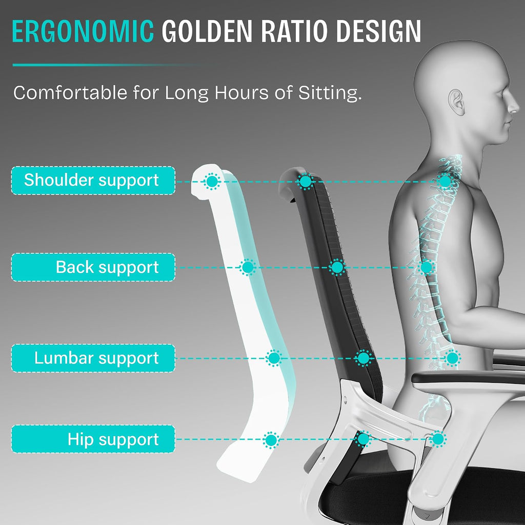 Ergonomic Computer Desk Chair, Sturdy Executive Task Chair - Adjustable Lumbar Support, Flip-up Arms, Tilt Function