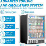 24 inch Beverage Refrigerator Cooler, 5.3 Cubic/166 Can Large Fridge with Glass 