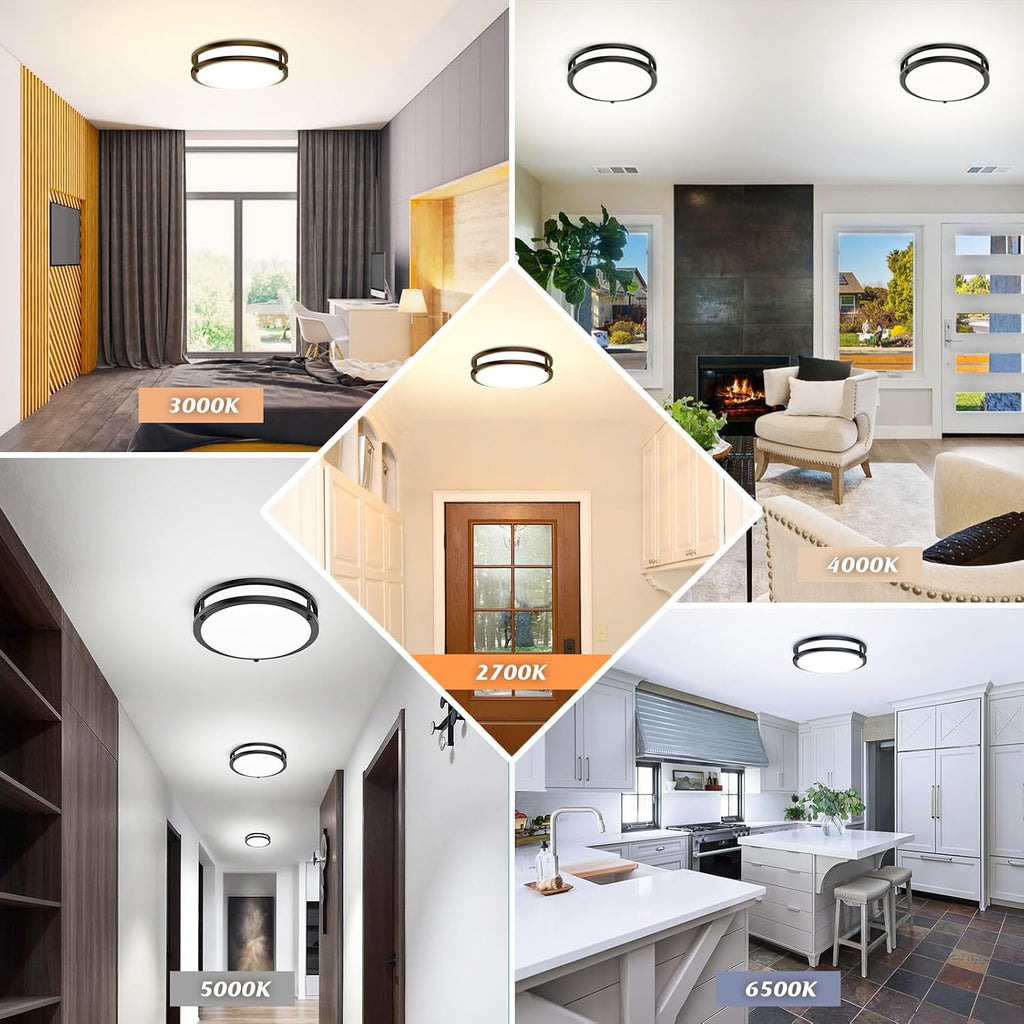 Flush Mount Ceiling Light Black 30W 5CCT Dimmable 10 Inch 2-Pack | 4000LM 2700K/3000K/4000K/5000K/6500K Adjustable