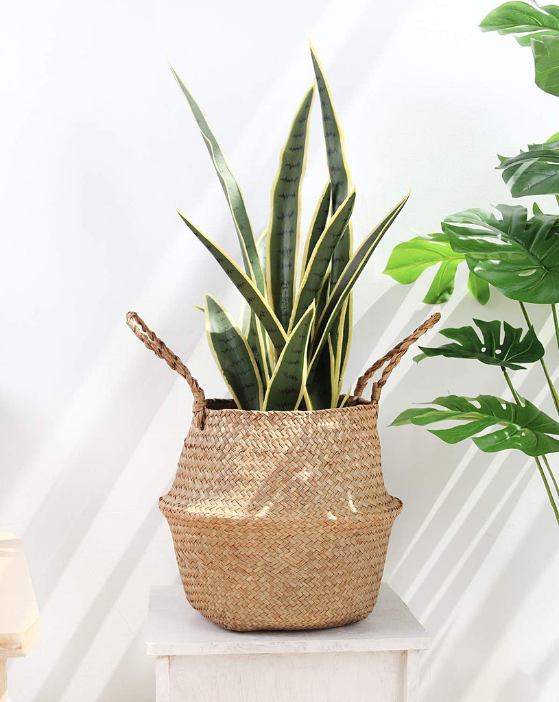 Woven Seagrass Belly Basket for Storage Plant Pot and Laundry, Picnic and Grocery Basket (Medium, Original)