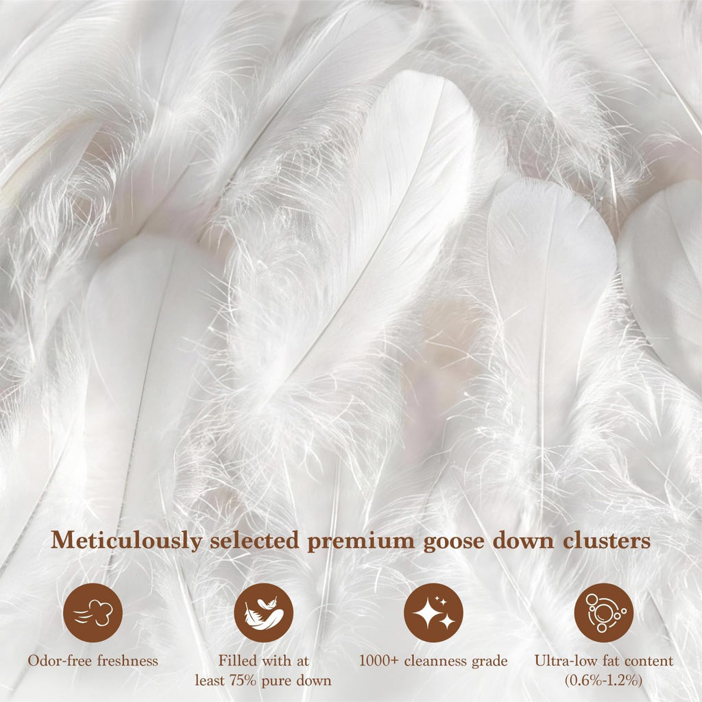 Goose Down Comforter Queen, 600 TC Cotton Cover, 850+ Fill Power, All Season Duvet Insert, 3D Baffle