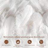 Goose Down Comforter Queen, 600 TC Cotton Cover, 850+ Fill Power, All Season Duvet Insert, 3D Baffle